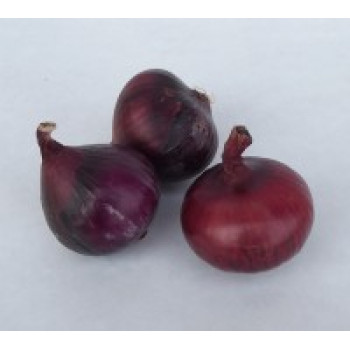 Cibule červená BIO 0,5 kg
